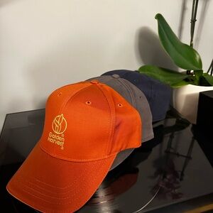 Cap Collection - Orange Harvest Cap, Grey Westside Choppers Cap, Blue Cap